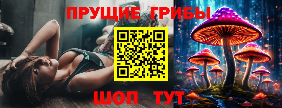 Тавда  Галлюциногенные грибы ЛСД  Вход с VPN 